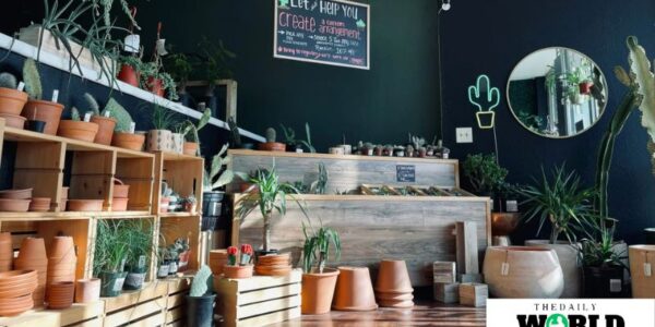 Benefits of Plant Nurseries