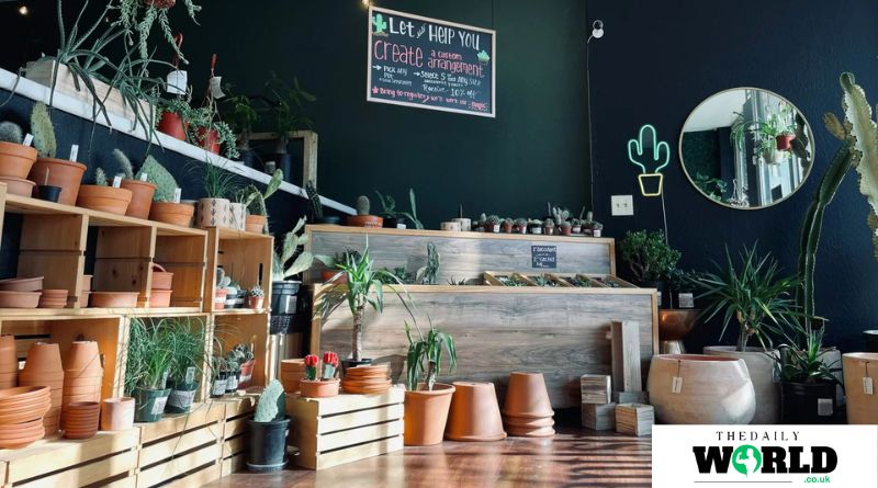 Benefits of Plant Nurseries